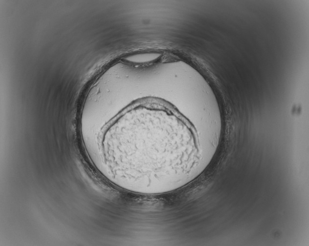 X0000110700443200907101225