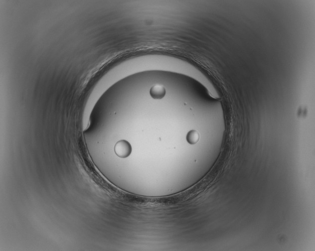 X0000110700444200907101225