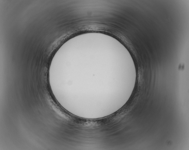 X0000110700445200907101225