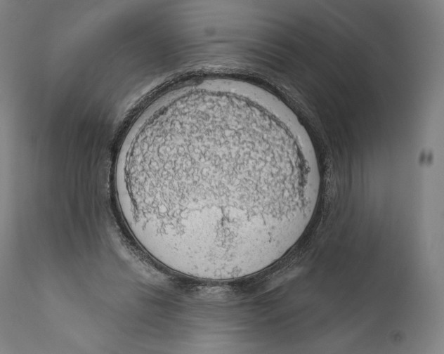 X0000110700446200907101225