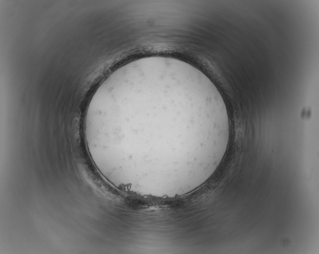 X0000110700447200907101225