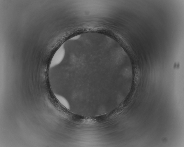 X0000110700451200907101225