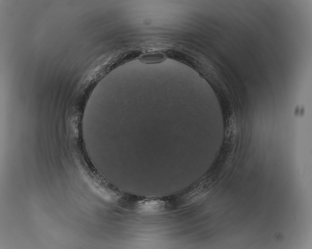 X0000110700452200907101225