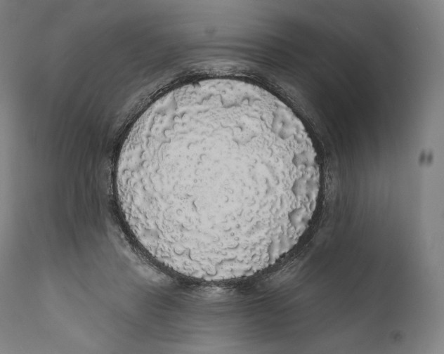 X0000110700453200907101225