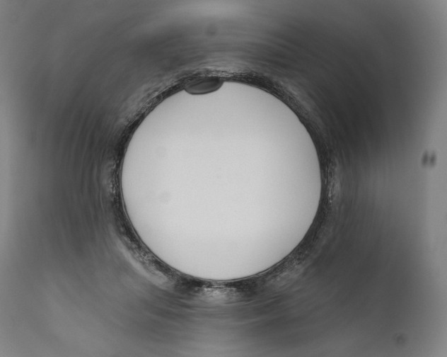 X0000110700455200907101225