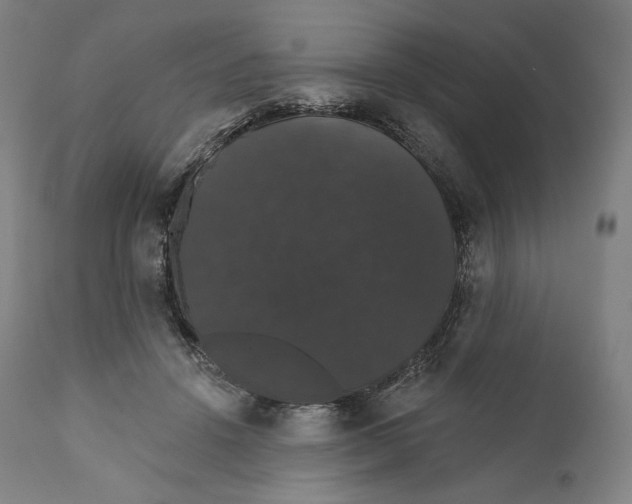 X0000110700456200907101225