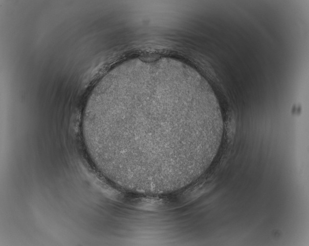 X0000110700458200907101225