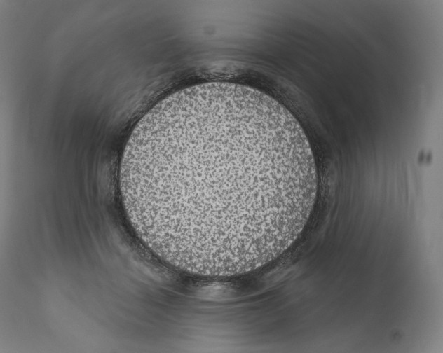 X0000110700460200907101225