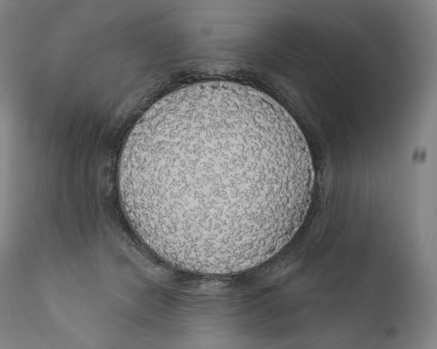 X0000110700462200907101225