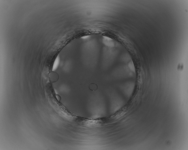 X0000110700465200907101225