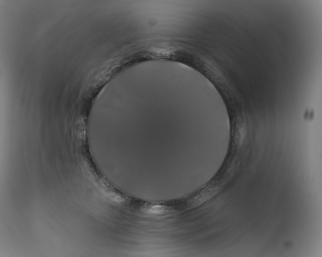 X0000110700467200907101225