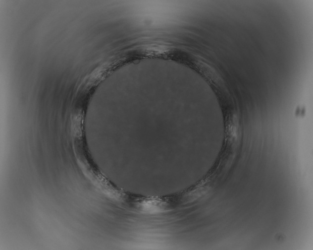 X0000110700468200907101225