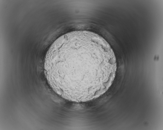 X0000110700469200907101225
