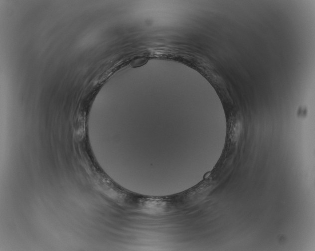 X0000110700471200907101225
