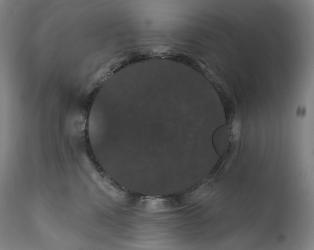 X0000110700472200907101225