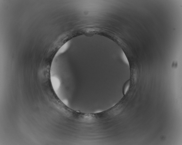 X0000110700475200907101225
