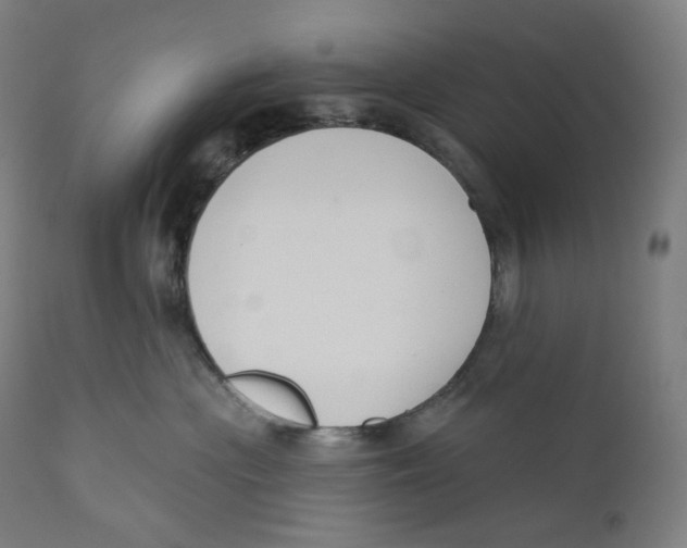 X0000110700477200907101225