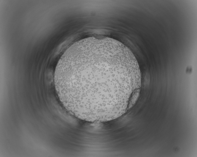 X0000110700478200907101225