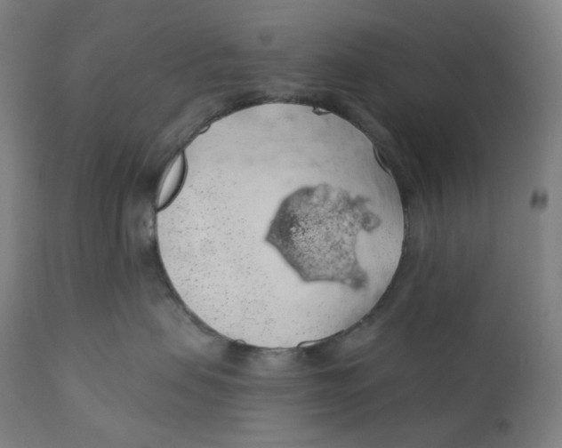 X0000110700479200907101225