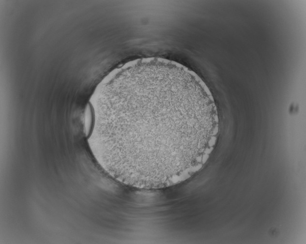 X0000110700480200907101225