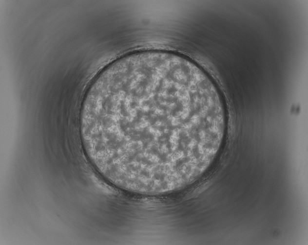 X0000110700481200907101224