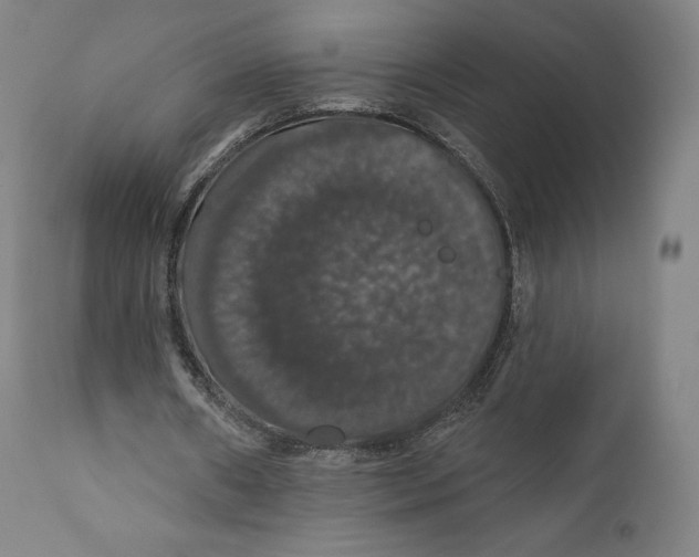 X0000110700482200907101224