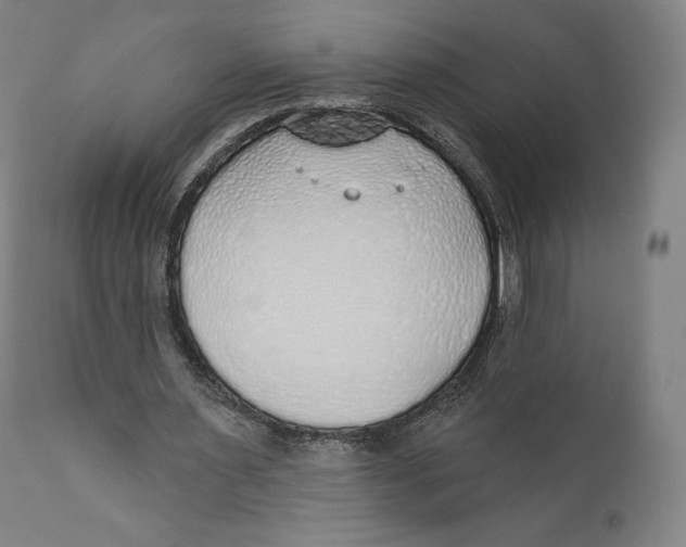 X0000110700483200907101224