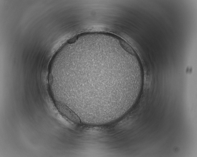 X0000110700485200907101224