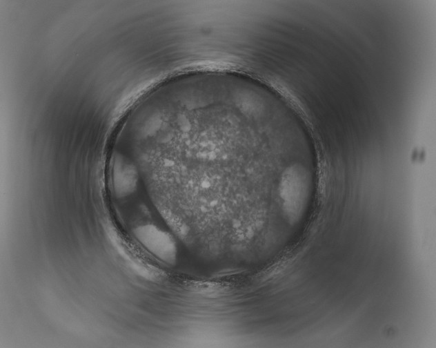 X0000110700486200907101224