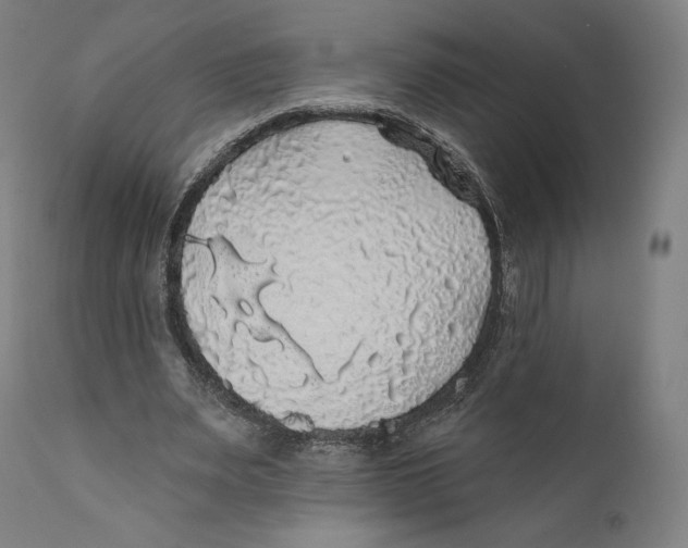 X0000110700487200907101224