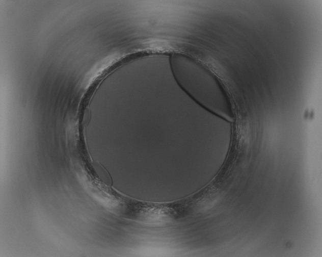 X0000110700488200907101224