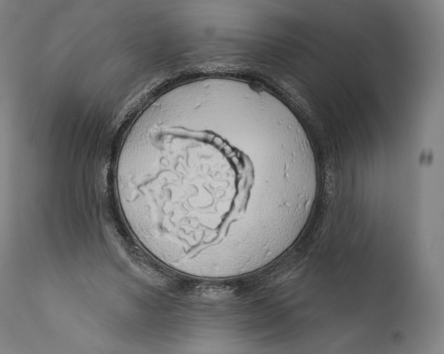 X0000110700491200907101224