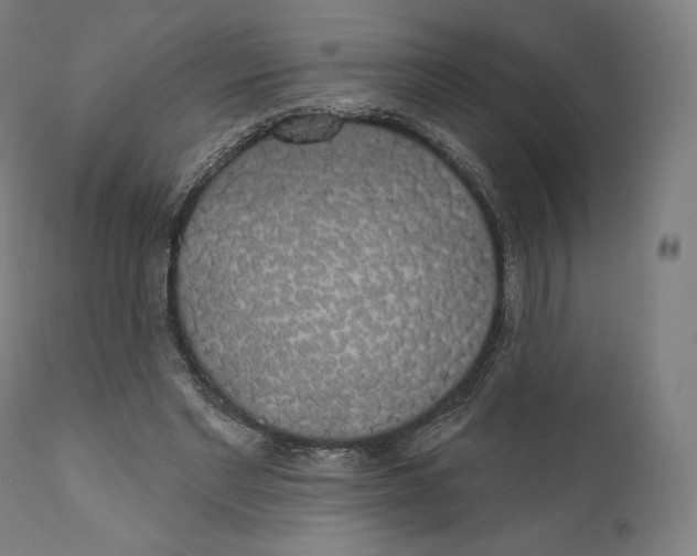 X0000110700493200907101224