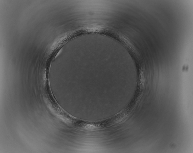 X0000110700494200907101224