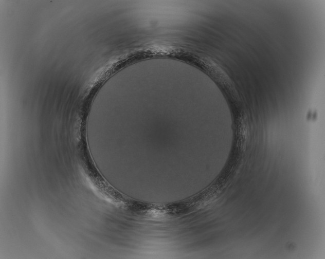 X0000110700496200907101224