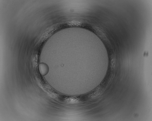 X0000110700498200907101224