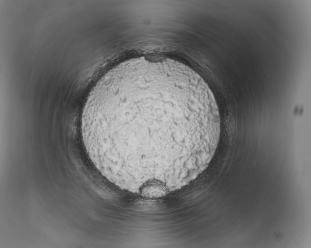 X0000110700499200907101224
