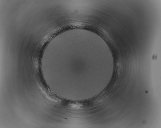 X0000110700500200907101224