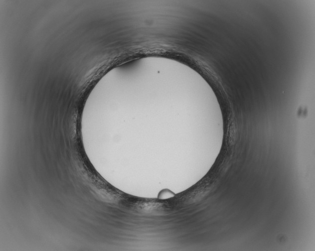 X0000110700501200907101224