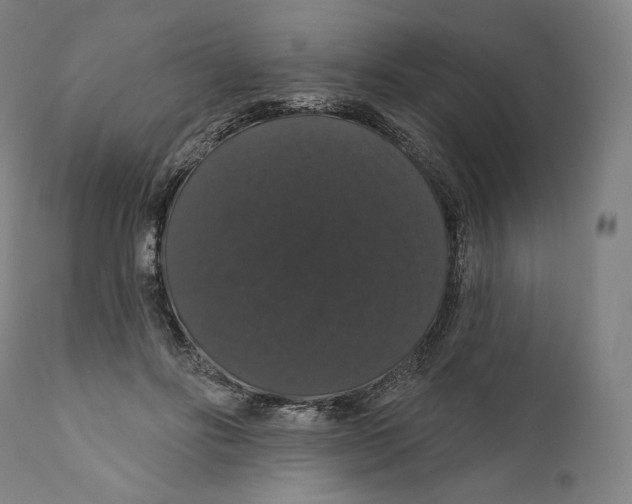 X0000110700502200907101224