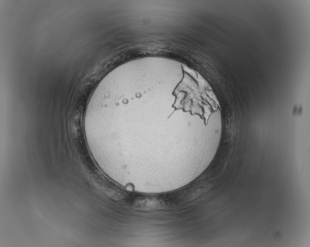 X0000110700503200907101224