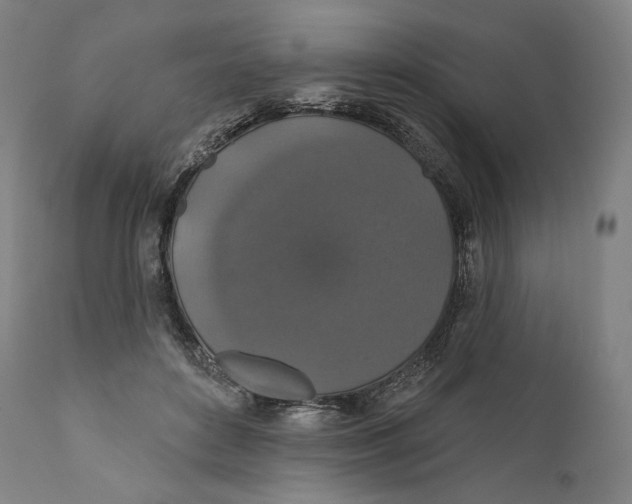 X0000110700504200907101224