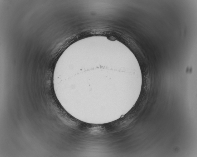 X0000110700505200907101224