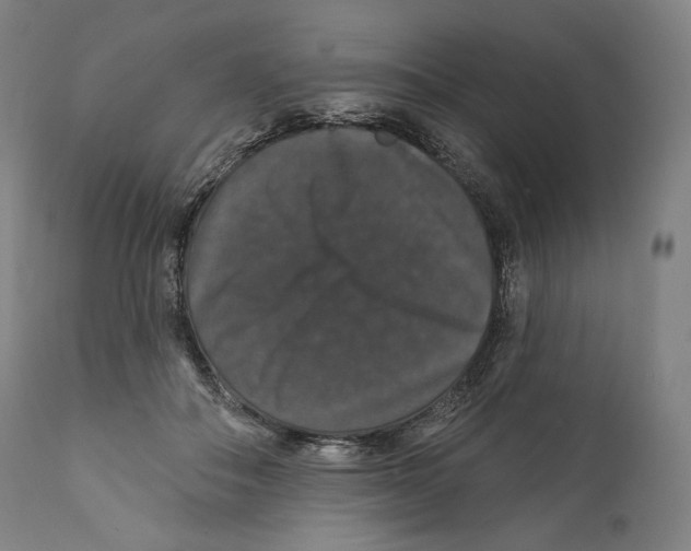 X0000110700506200907101224