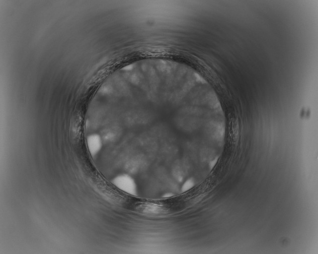 X0000110700507200907101224