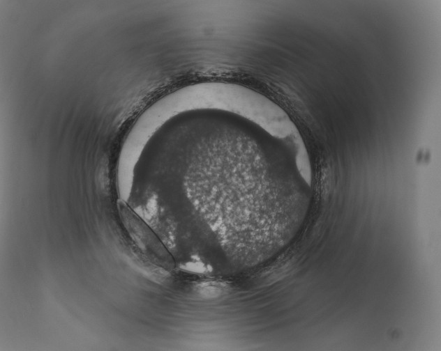 X0000110700508200907101224