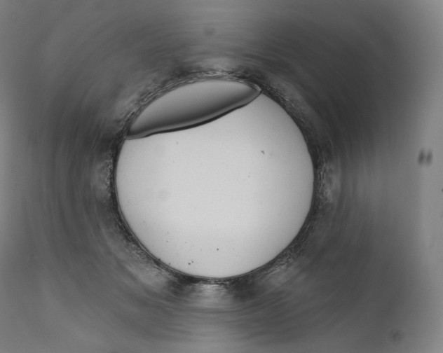 X0000110700509200907101224