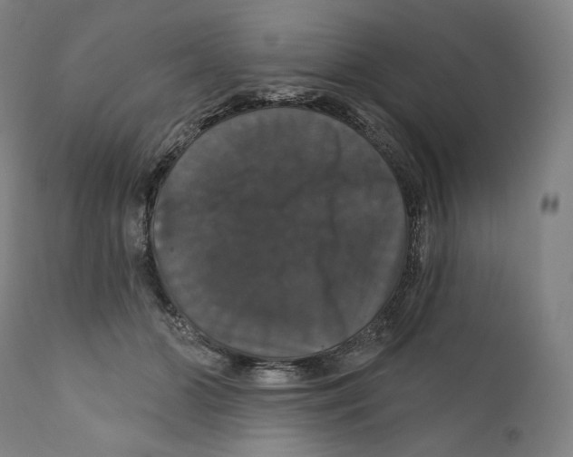 X0000110700510200907101224