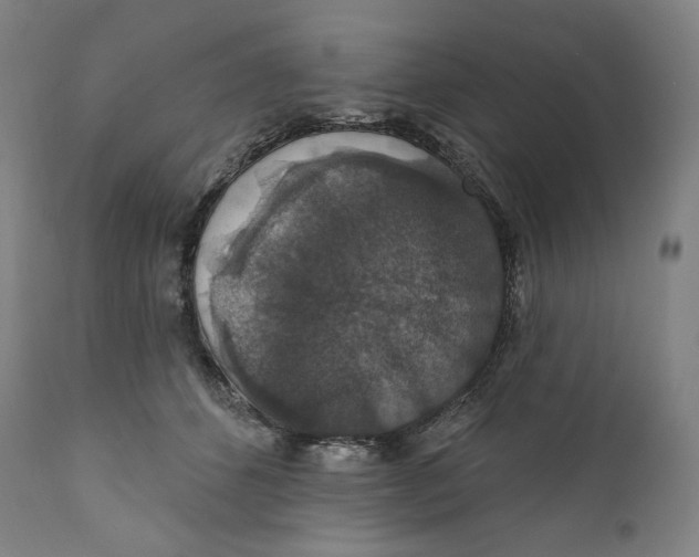 X0000110700512200907101224