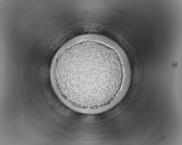 X0000110700513200907101224